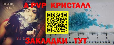 крисы Нальчик