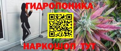 гашик Нарткала