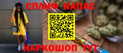 гашик Нарткала